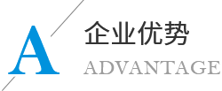 企业优势